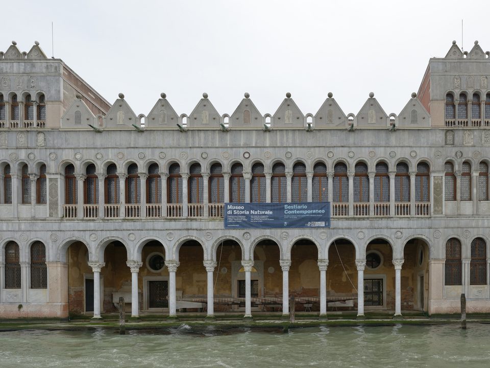 Natural History Museum of Venice 1/3